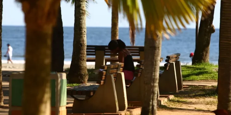 Revelada qual a cidade com maior proporção de mulheres no Brasil