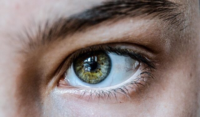 Óleo natural deixa sobrancelhas preenchidas e aspecto lindo