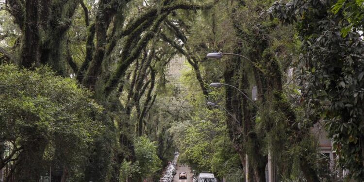 Rua mais bonita do mundo fica no Brasil e inspira todo resto do planeta