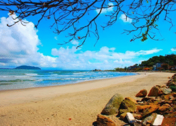 Praia mais azul do Brasil conquista turistas e é fácil de visitar