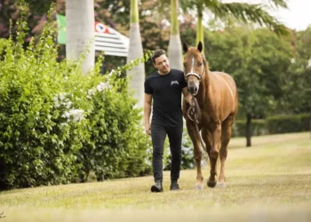 Cavalo mais caro do Brasil pertence a Wesley Safadão e custa o valor de uma mansão