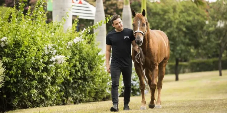 Cavalo mais caro do Brasil pertence a Wesley Safadão e custa o valor de uma mansão