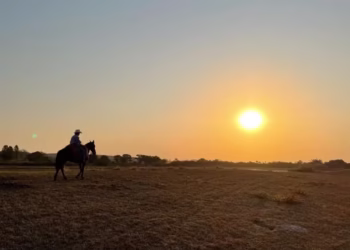 fazenda