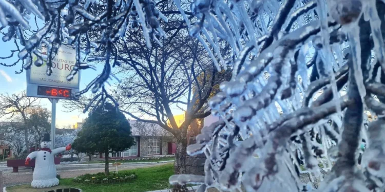 Frio fora de época chegou em janeiro de 2026 e vai continuar