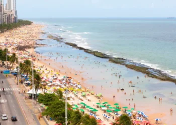 Praia brasileira é cercada por tubarões e ataques são frequentes