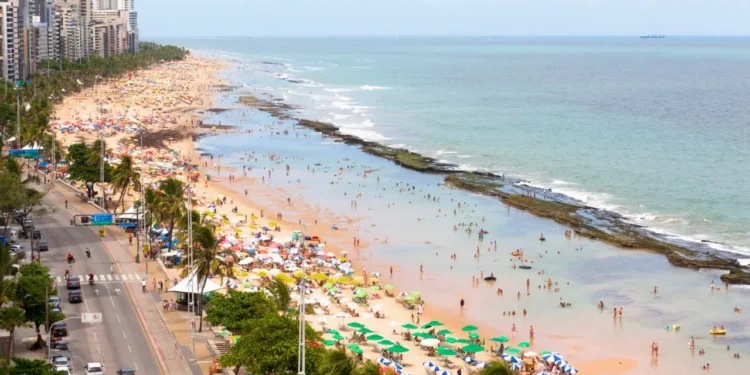 Praia brasileira é cercada por tubarões e ataques são frequentes