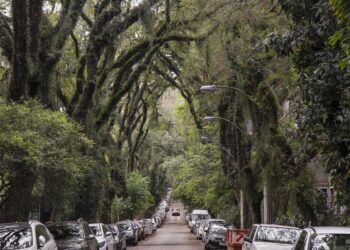 Brasil abriga a rua mais elegante do mundo em cidade com 1,3 milhão de habitantes
