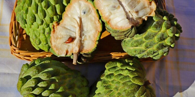 Fruta muito gostosa cresce em quintais ensolarados e dá energia para quem come