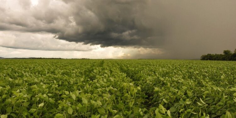 Fevereiro deve ser de chuvas intensas em várias cidades do Brasil