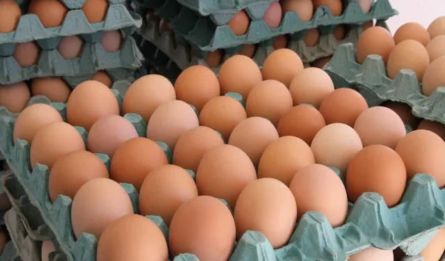 Capital do ovo no Brasil produz mais de 130 unidades por segundo e fatura milhões por ano