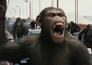 macaco