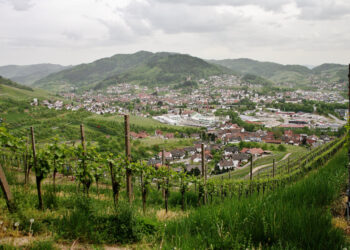 Por que o povo mineiro fala “nu”?