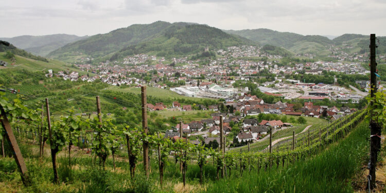 Por que o povo mineiro fala “nu”?