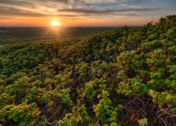 Cidade brasileira vive como se ainda estivesse nos anos 50 e o tempo parou por lá