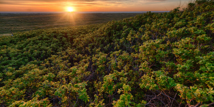 Cidade brasileira vive como se ainda estivesse nos anos 50 e o tempo parou por lá