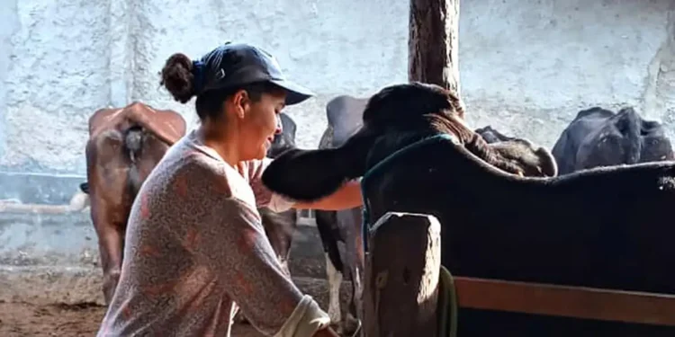 aposentadoria mais cedo no campo