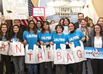 Fim das sacolas plásticas nos supermercados foi confirmado neste estado
