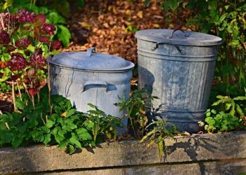 Nova lei no Brasil prevê multa de até R$ 5,8 mil para quem jogar lixo na rua