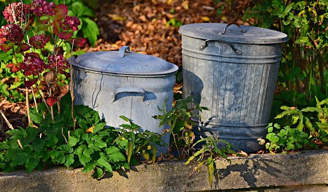 Nova lei no Brasil prevê multa de até R$ 5,8 mil para quem jogar lixo na rua