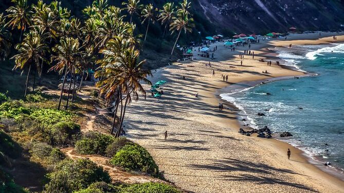 Praia brasileira tem água do paraíso e te deixa nadar com golfinhos