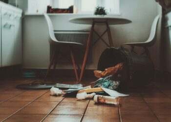 O truque doméstico para eliminar o mau cheiro do lixo em sua casa