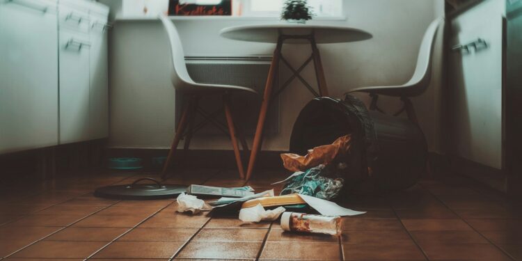 O truque doméstico para eliminar o mau cheiro do lixo em sua casa