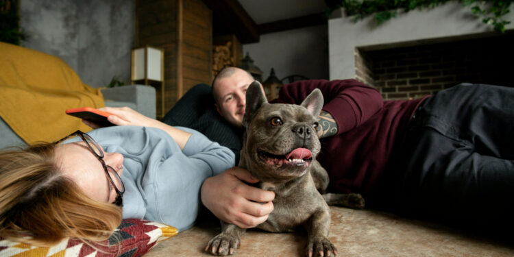 Comunicado aos avós que pretendem deixar pensão aos netos