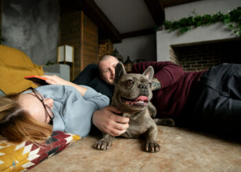 Donos de pets vão ter que pagar mais de R$ 600 ao Governo em 2026