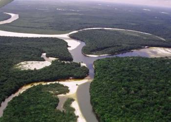 Maior rio do Brasil passa pelo Peru, possui quase 7.000 km e tem piranhas e cobras assustadoras