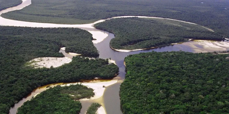 Maior rio do Brasil passa pelo Peru, possui quase 7.000 km e tem piranhas e cobras assustadoras