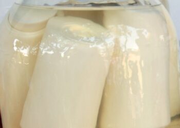 Anvisa surpreende e proíbe venda de palmito em conserva