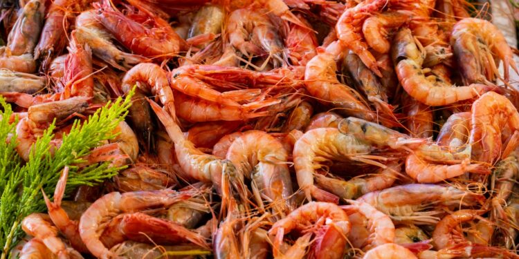 Camarão não pode ser consumido no Brasil até o final de abril nessas cidades