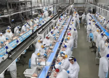 Gigante da carne aposta R$ 750 milhões em nova fábrica no deserto com 3 mil vagas de trabalho