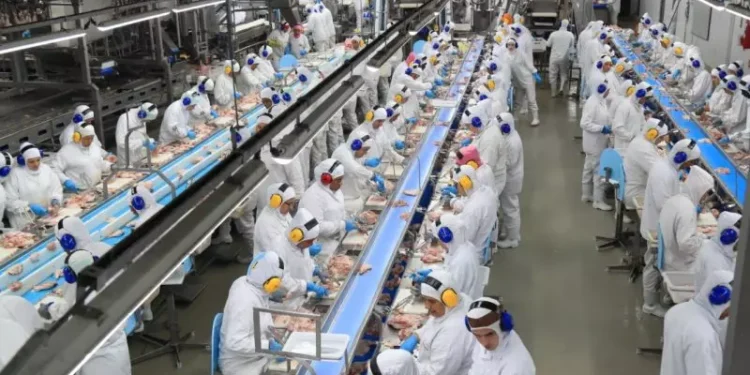 Gigante da carne aposta R$ 750 milhões em nova fábrica no deserto com 3 mil vagas de trabalho