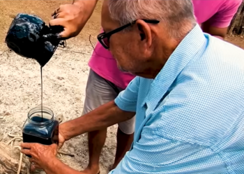 Possível mina de ouro com petróleo foi descoberta por família em sítio no Nordeste