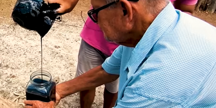 Possível mina de ouro com petróleo foi descoberta por família em sítio no Nordeste