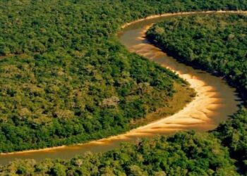 Maior ilha fluvial do planeta tem 20.000km e fica no Brasil