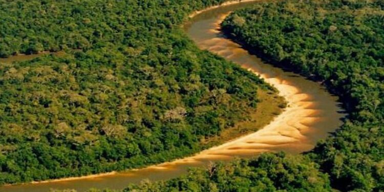 Maior ilha fluvial do planeta tem 20.000km e fica no Brasil
