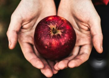 Maçã não era o fruto proibido que Eva comeu, segundo a ciência