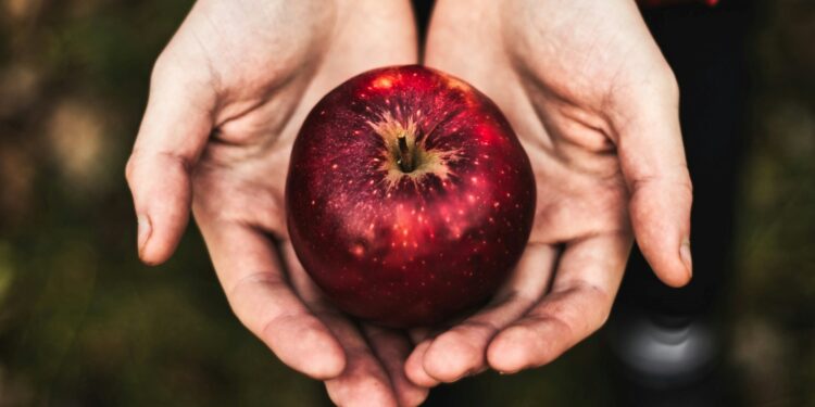 Maçã não era o fruto proibido que Eva comeu, segundo a ciência
