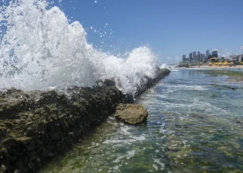 Especialistas emitem comunicado de preocupação com a natureza