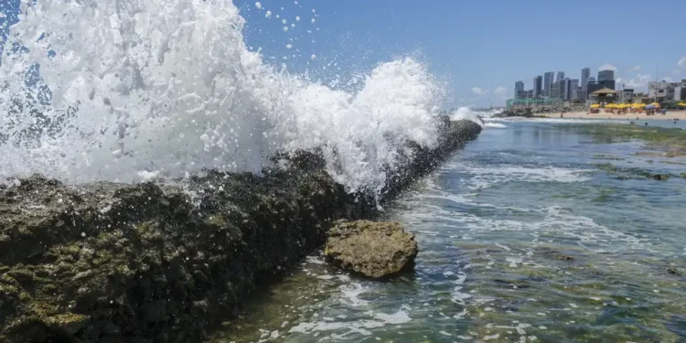 Especialistas emitem comunicado de preocupação com a natureza