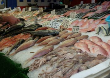 Melhor peixe sem espinhas para comer na Sexta-feira Santa custa pouco e é fácil de achar