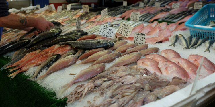 Melhor peixe sem espinhas para comer na Sexta-feira Santa custa pouco e é fácil de achar