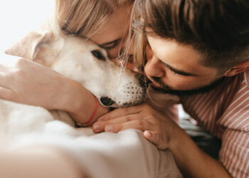 Senado surpreende e anuncia guarda compartilhada após término de relacionamento para pets