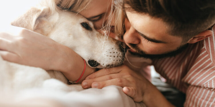 Senado surpreende e anuncia guarda compartilhada após término de relacionamento para pets