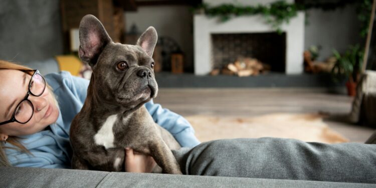 5 raças mais tranquilas para ter em apartamentos, segundo veterinários