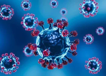 Nova variação da Covid pode causar outra pandemia?