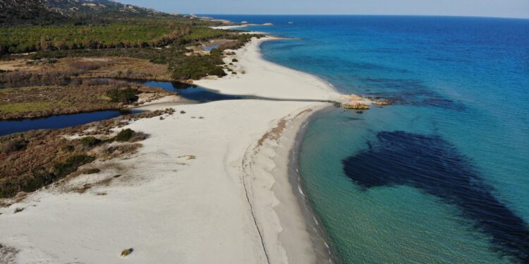 Praia escondida no mundo leva você para nadar ao lado das vacas