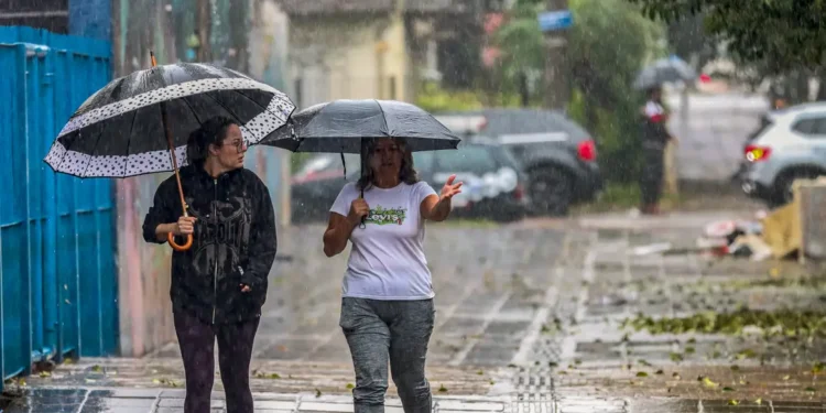 Região que faz frio no Brasil troca de temperatura e vai enfrentar calor